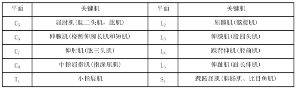 脊髓損傷的康復(fù)