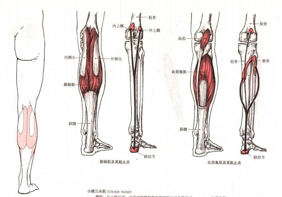 淺探兒童平衡訓(xùn)練